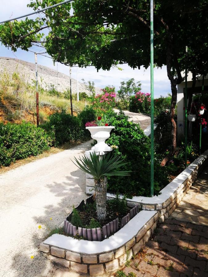 Family Apartments K&M باغ المظهر الخارجي الصورة