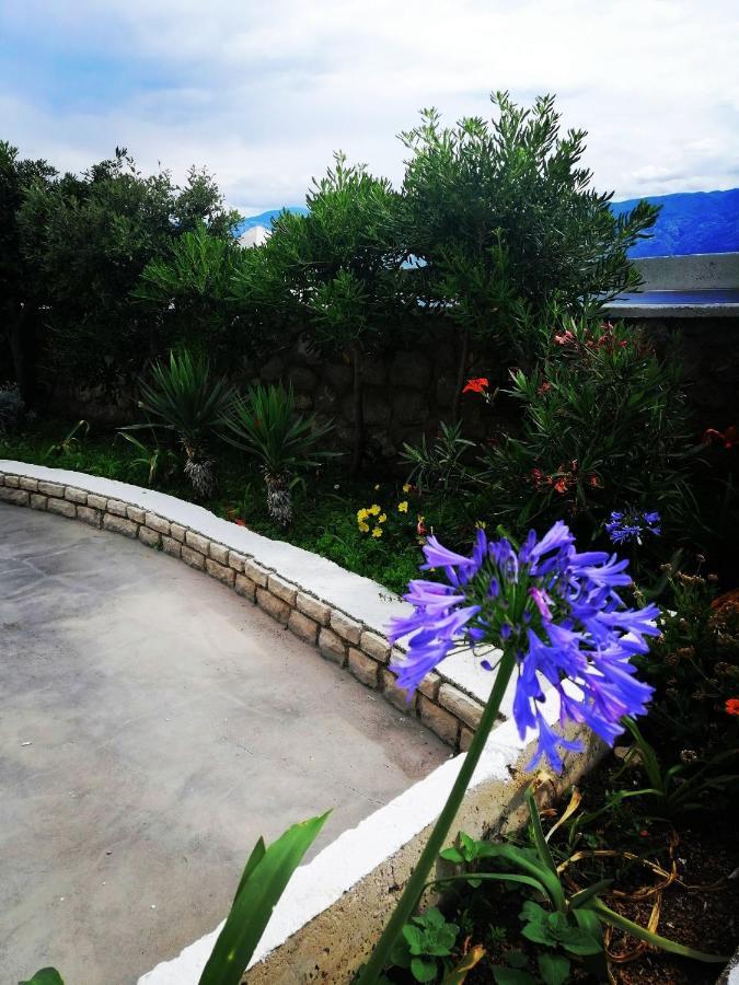 Family Apartments K&M باغ المظهر الخارجي الصورة